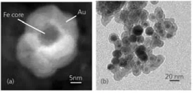 (a) Z-Contrast image of an Au-coated Fe nanoparticle obtained by scanning transmission electron microscopy. (b) Transmission electron microscopy image of Au-coated Fe nanoparticles