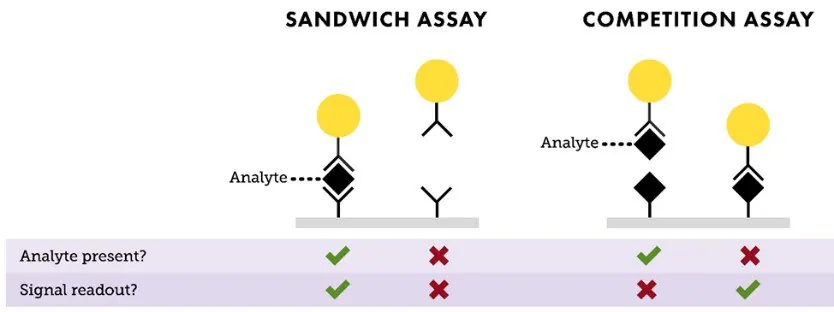 Depiction of “Sandwich” and “Competition” assay formats. In a sandwich assay, a positive signal indicates the presence of analyte and the test line intensity is proportional to the amount of analyte available in the sample. For a competition assay, a strong signal on the test line means little or no analyte is present. This signal intensity is inversely proportional to the analyte concentration