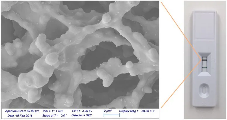 Gold nanoshells bound to a nitrocellulose membrane