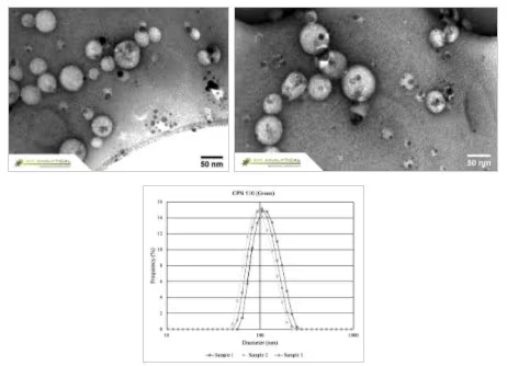 Figure 2. CPNs display excellent uniformity in size and shape, as shown in the Transmission Electron Microscopy (TEM) above, and Dynamic Light Scattering (DLS) below. Image Credit: Merck