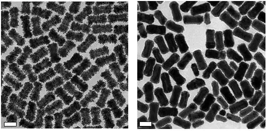 TEM images of Platinum coated gold nanostructures (Left) and Palladium coated gold nanostructures (Right). Scale bars are 50 nm.