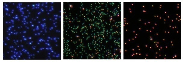 Dark field microscopy images of (left to right) 60 nm diameter silver nanospheres, 75 nm diameter silver nanocubes, and 100 nm diameter silver nanocubes, illustrating the ability to tune the scattering color of silver nanoparticle labels based on size and shape.