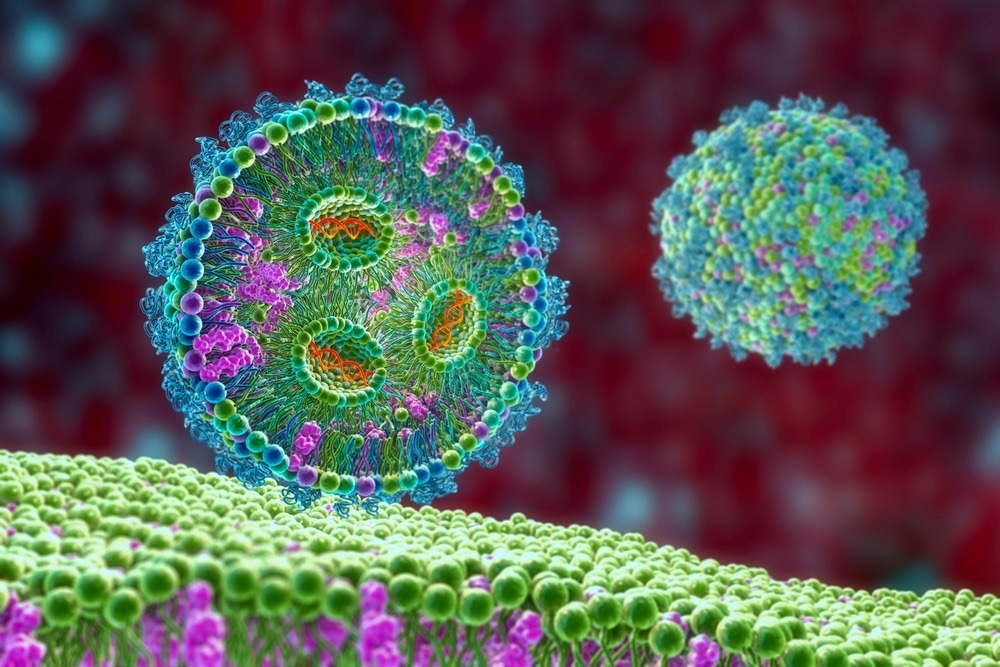 Lipid nanoparticle siRNA antivirals used against Covid-19 and influenza. 3D illustration showing cross-section of lipid nanoparticle carrying siRNA of the virus (orange) entering a human cell