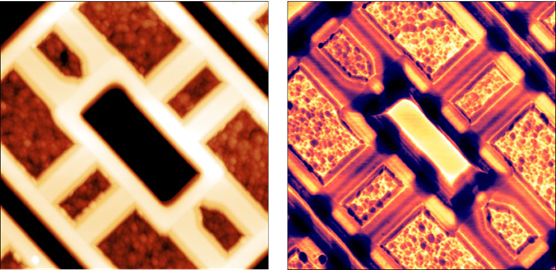 Topography (left), Im (S11) or capacitance (right) of an SRAM sample. Scan size is 10 x 10 µm2.
