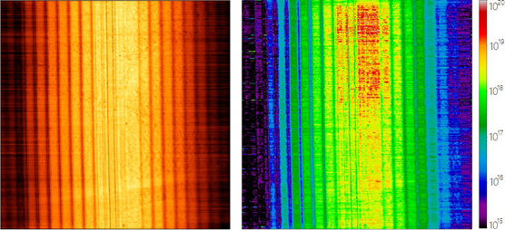S11 amplitude (left) and dopant density map (right) of an Infineon SCM calibration sample with dopant densities in a range of 4x1015 – 1020 cm-3. Scan size is 50 x 50 µm2.