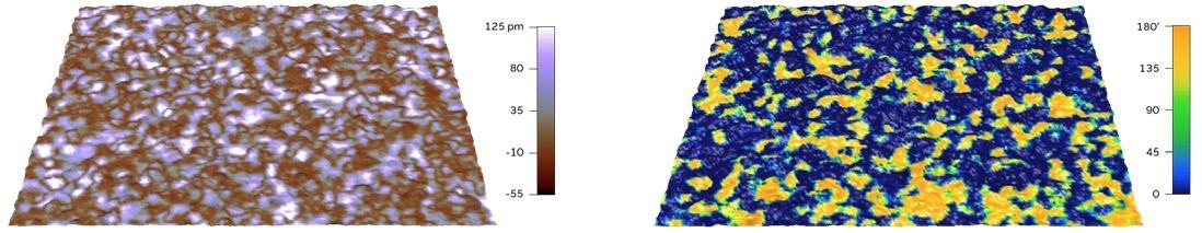 DART PFM amplitude (left) and phase (right) data overlaid on a 3D representation of the surface topography of a 10 nm Si:HfO2 thin film (3 µm scan size). The phase image clearly shows different poled domains.