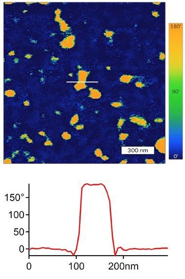 DART PFM amplitude (top) and phase (bottom) images of the same Si:HfO2 thin film. The smaller 1.5 µm scan size makes it simpler to measure individual domain. Here cross-sections were measured across the indicated lines, which indicate that the domains have characteristic dimensions on the order of 100 nm and that the domains are oppositely poled (~180°) relative to the surrounding phase.