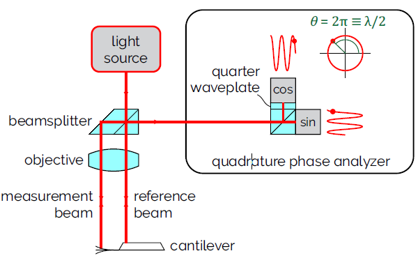 Diagram of the QPDI principle used to measure cantilever displacement in a Vero AFM. A light beam is split into two beams that are focused onto the cantilever and the backside of the chip. A quadrature phase analyzer measures the difference in the distance travelled by both beams to determine the displacement of the cantilever. A full 2p cycle in phase is equivalent to a _ /2 displacement, and multiple cycles may be measured