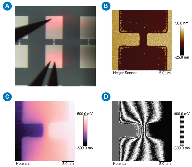 (a) View from the optical camera integrated into the Bruker Dimension Icon AFM showing three Imina microprobers and area of interest on an open-circuit device for KPFM scan. (b) AFM height map of the area of interest marked in (a). (c, d) KPFM potential measurement on the open-circuit device while applying -0.5 V and +0.5 V to the contacts.