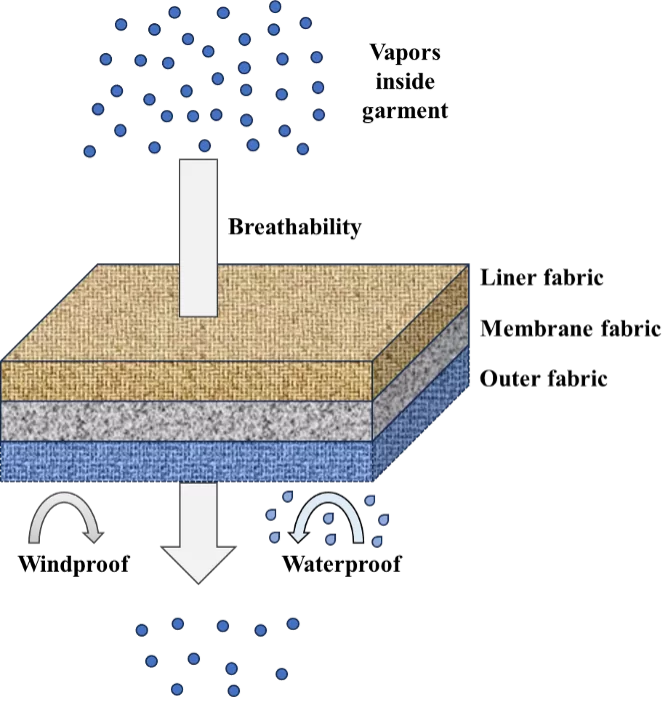 Scheme of a three-layered breathable waterproof fabric