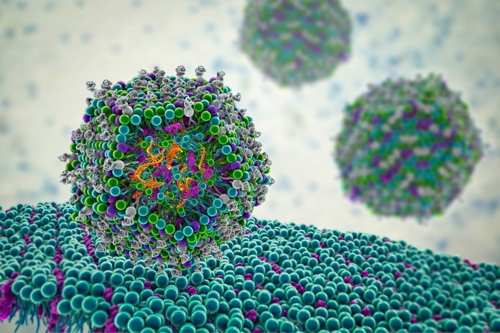 Lipid nanoparticle mRNA vaccine entering a human cell, a type of vaccine used against Covid-19. 3D illustration showing cross-section of a lipid nanoparticle carrying mRNA of the virus (orange).