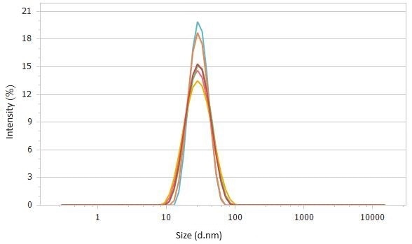 Correlation functions (top) and size distributions (bottom) of 2× diluted sample #1 detected at 90°.