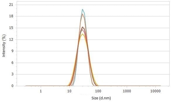 Correlation functions (top) and size distributions (bottom) of 2× diluted sample #2 detected at 90°.