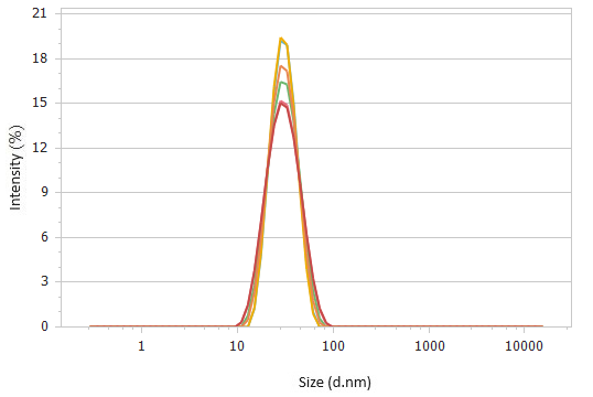 Correlation functions (top) and size distributions (bottom) of 2× diluted sample #1 detected at 173°.