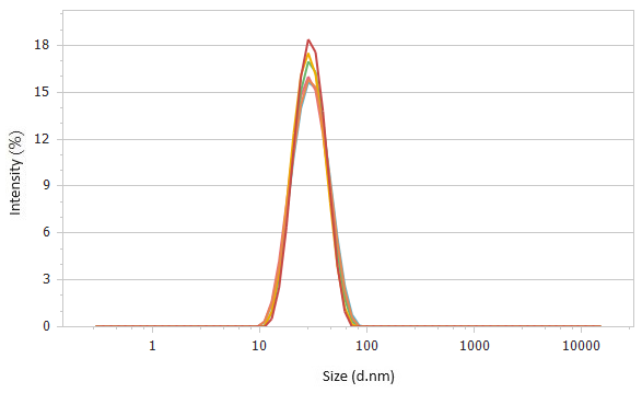 Correlation functions (top) and size distributions (bottom) of 2× diluted sample #2 detected at 173°.