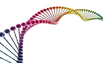 Nanotechnologists To Use DNA Discovery For Medical Treatments - News Item