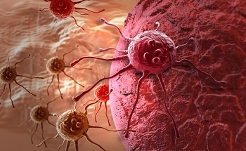 Nanoparticles Loaded With Drugs To Fight Cancer - New Technology