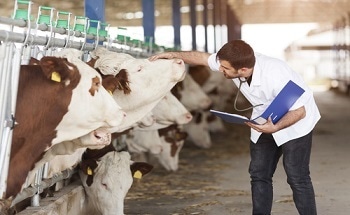 Agriculture and Veterinary Medicine - How Nanotechnology is Set to Impact on These Industries