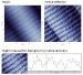 Observing Alignment and Organisation in Collagen Structures using AFM