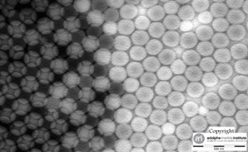 Functionalizing the Surface of Nanoparticles