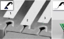 Lateral Force Microscopy of Dip-Pen Nanolithography Produced Dots Using EasyScan 2 FlexAFM