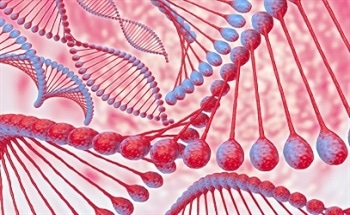 Nucleic Acid Engineering - Engineering DNA as Both a Genetic and a Generic Material
