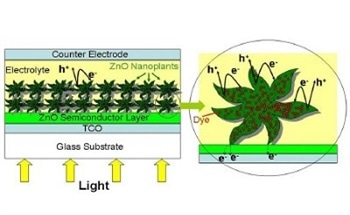 Recent Trends in Dye-Sensitized Solar Cell Technology