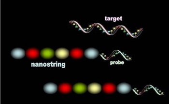 NanoBarcodes for Single Biomolecules