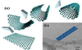 Progress and Perspectives in the Carbon Nanotube World