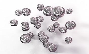 Silver Nanoparticles (AgNP: 5-10 nm) - Features and Properties