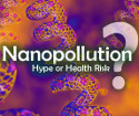 Nanopollution: Hype or Health Risk?