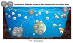 Measuring the Exposure and Effects of Silver Nanoparticles in Surface Water Using ICP-MS