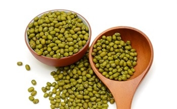 Synthesizing Silver Nanoparticles Using Mung Bean Seed Extract