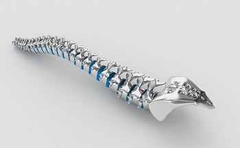 Nanosilver Coated Fibers for Spinal Cord Repair