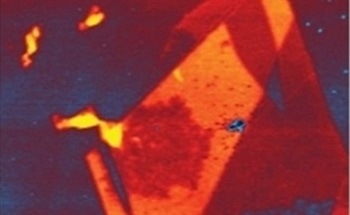 Characterizing 2D Materials with AFM-IR Spectroscopy