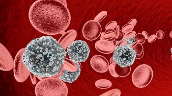 Nanotechnology and the Fight Against HIV