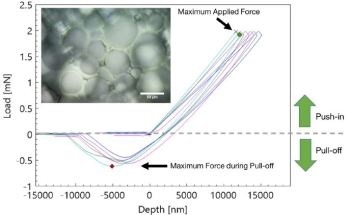 Pull-Off Force and Adhesion Strength