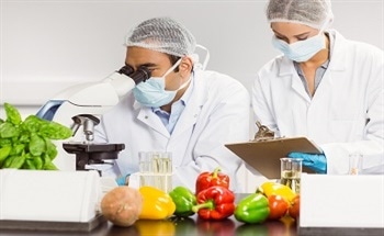 What is the Relationship Between Nanofood and Food Safety?