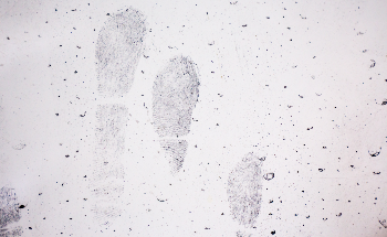 How are Latent Fingerprints Developed using Nanomaterials?