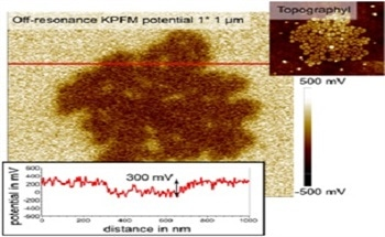 Surface Potential Imaging of Soft Structures via Sideband KPFM