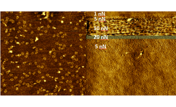 Soft Intermittent Contact - An Important AFM Mode