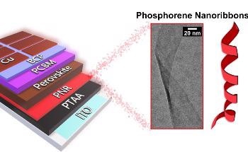 Unravelling the Functional Properties of Phosphorene Nanoribbons