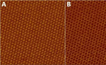 Graphene Analysis with Atomic Force Microscope (AFM)