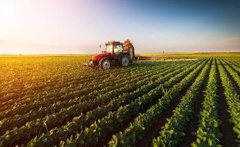 Benefits of Implementing Carbon-Based Nanomaterials in Agriculture
