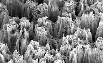 Manipulating Nanowires with Atomic Force Microscopy