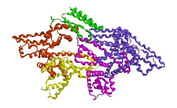 How to Characterize Protein Self-Association