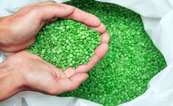 What Makes a Nanomaterial Biodegradable?