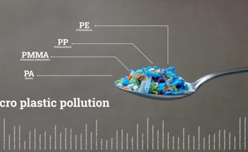 Assessing Microplastic Exposure with Thermal Analysis
