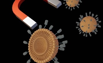 Magnetic Nanoparticles - Properties and Applications