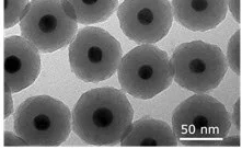 The Properties and Applications of Silica-Coated Gold Nanoparticles